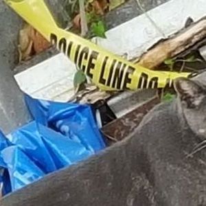 Meet your Posher, Jesus